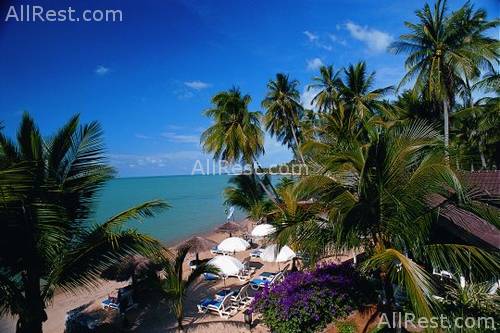 Samui Paradise Beach Resort 13